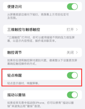 枣庄苹果授权维修站分享iPhone轻点无法唤醒怎么办 