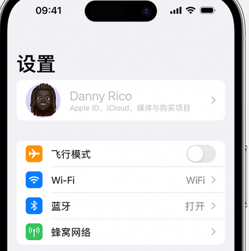 枣庄appleID维修服务iPhone设置中Apple ID显示为灰色无法使用 