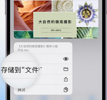 枣庄apple维修中心分享iPhone文件应用中存储和找到下载文件