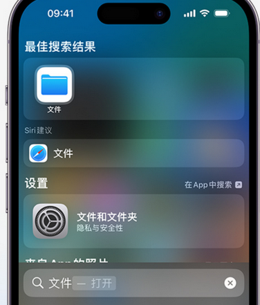 枣庄apple维修中心分享iPhone文件应用中存储和找到下载文件 