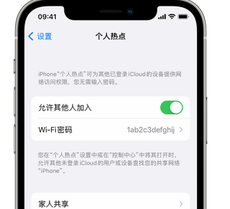 枣庄apple服务站点分享iPhone上个人热点丢失了怎么办