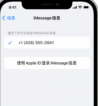 枣庄apple维修iPhone上无法正常发送iMessage信息 