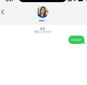 枣庄apple维修iPhone上无法正常发送iMessage信息