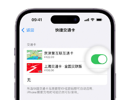 枣庄apple维修点分享iPhone上更换Apple Pay快捷交通卡手绘卡面 