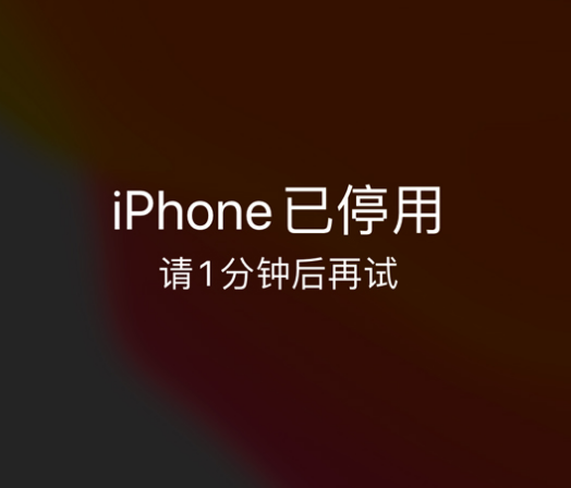 枣庄苹果手机维修分享:iPhone 显示“不可用”或“已停用”怎么办？还能保留数据吗？ 