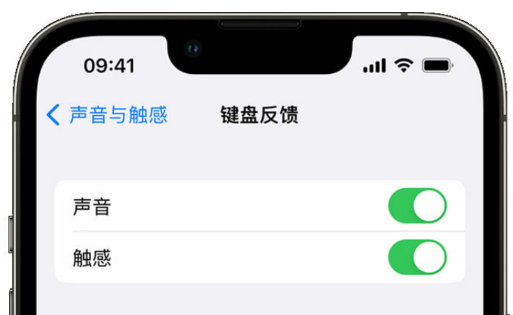 枣庄苹果手机维修分享iPhone 14触感键盘使用方法 