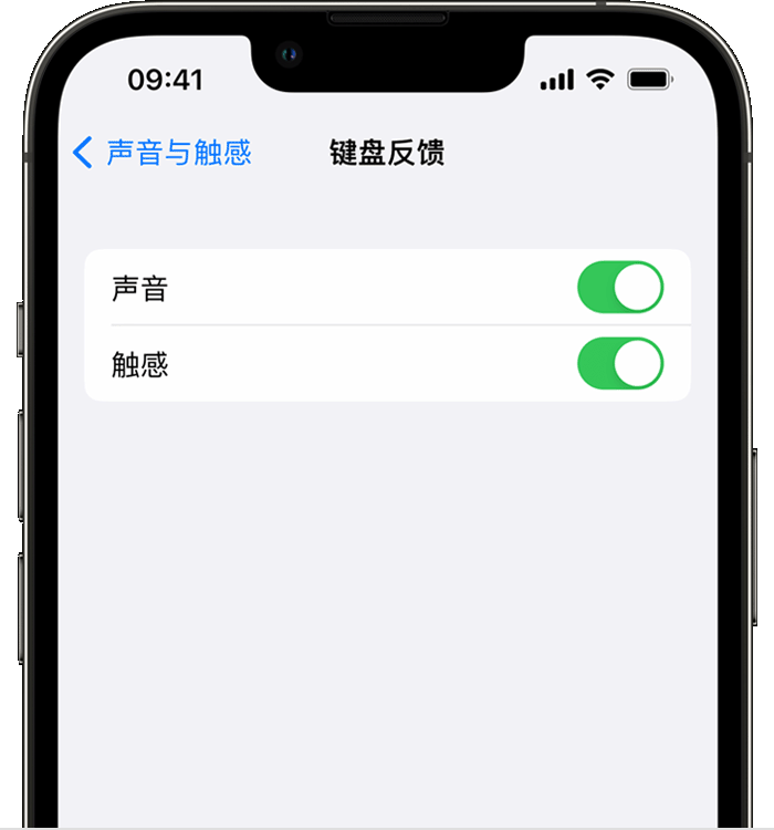 枣庄苹果14维修店分享如何在 iPhone 14 机型中使用触感键盘 