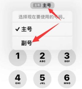 枣庄苹果14维修店分享iPhone 14 Pro Max使用副卡打电话的方法 