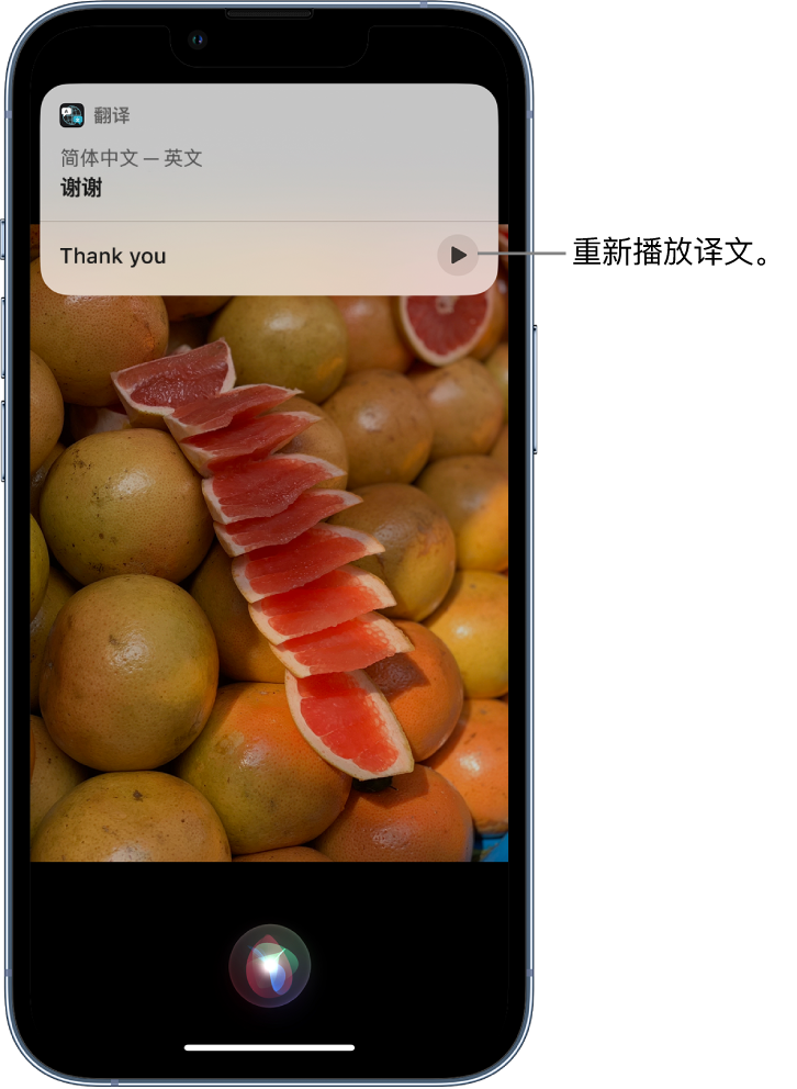 枣庄苹果14维修分享 iPhone 14 机型中使用 Siri：了解 Siri 能帮你做什么 