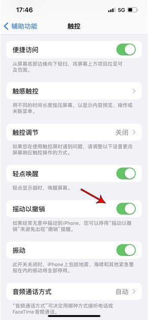 枣庄苹果手机维修分享iPhone手机如何设置摇一摇删除文字 