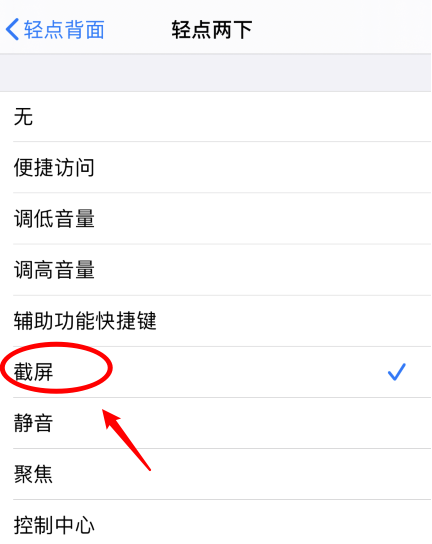 枣庄苹果手机维修分享iPhone12如何启用双击截屏 