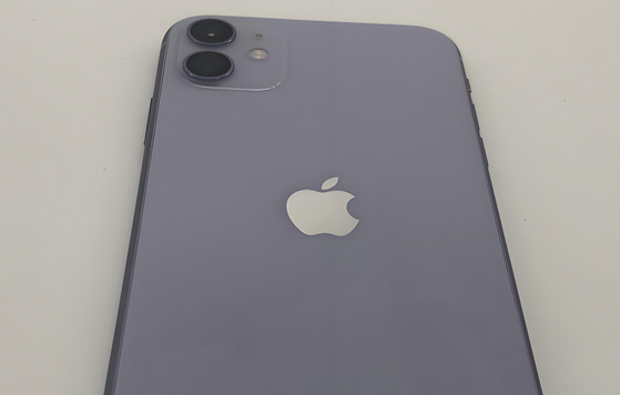 枣庄苹果11系统维修分享iPhone11手机系统崩溃无法开机如何解决