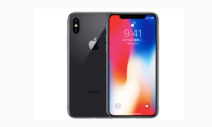 枣庄苹果手机维修分享iPhone X换电池 